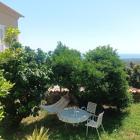 Appartement A Caserella entièrement rénové avec terrasse et vue panoramique sur mer Valle-di-Campoloro Extérieur photo