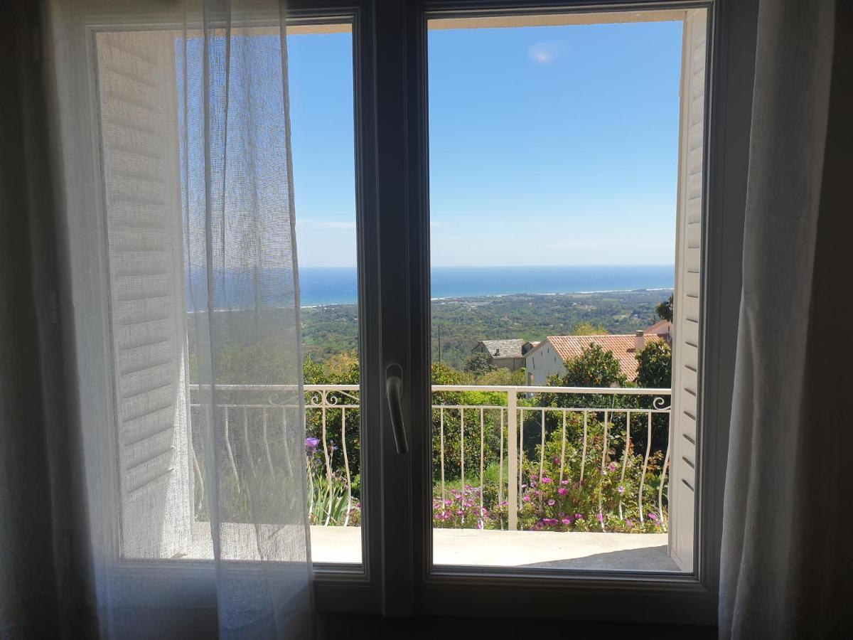 Appartement A Caserella entièrement rénové avec terrasse et vue panoramique sur mer Valle-di-Campoloro Extérieur photo