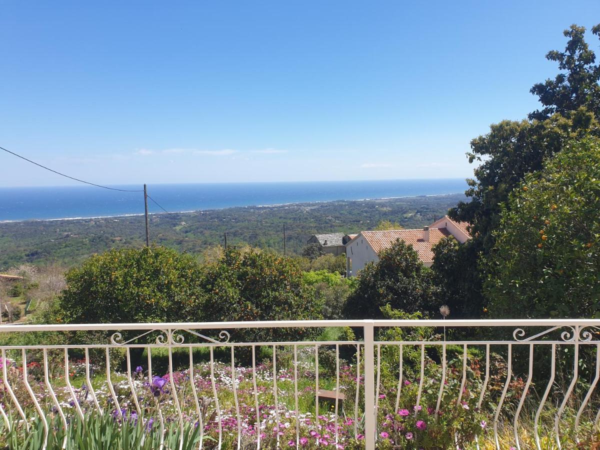 Appartement A Caserella entièrement rénové avec terrasse et vue panoramique sur mer Valle-di-Campoloro Extérieur photo