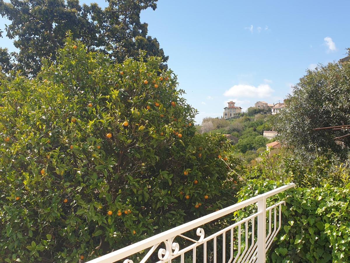 Appartement A Caserella entièrement rénové avec terrasse et vue panoramique sur mer Valle-di-Campoloro Extérieur photo