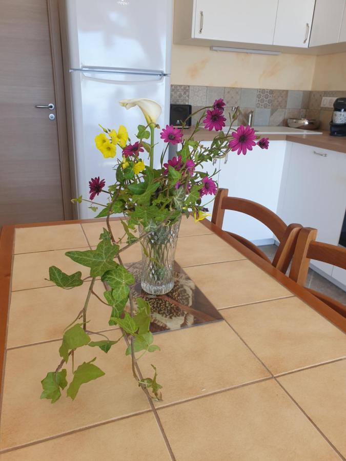 Appartement A Caserella entièrement rénové avec terrasse et vue panoramique sur mer Valle-di-Campoloro Extérieur photo