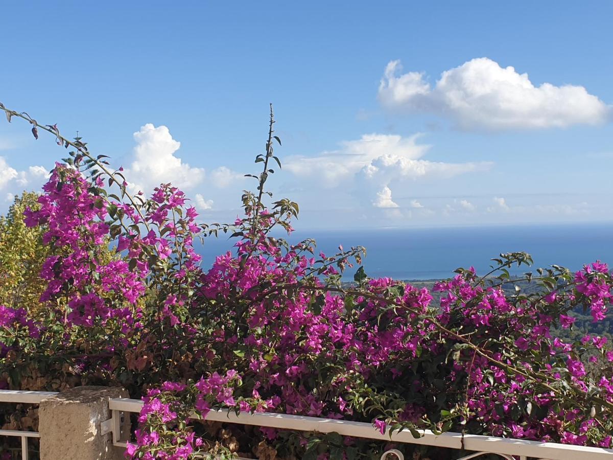 Appartement A Caserella entièrement rénové avec terrasse et vue panoramique sur mer Valle-di-Campoloro Extérieur photo