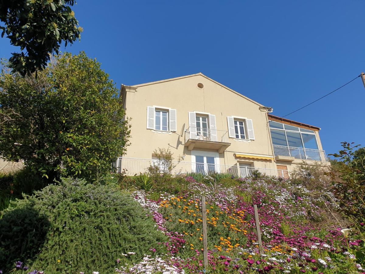 Appartement A Caserella entièrement rénové avec terrasse et vue panoramique sur mer Valle-di-Campoloro Extérieur photo