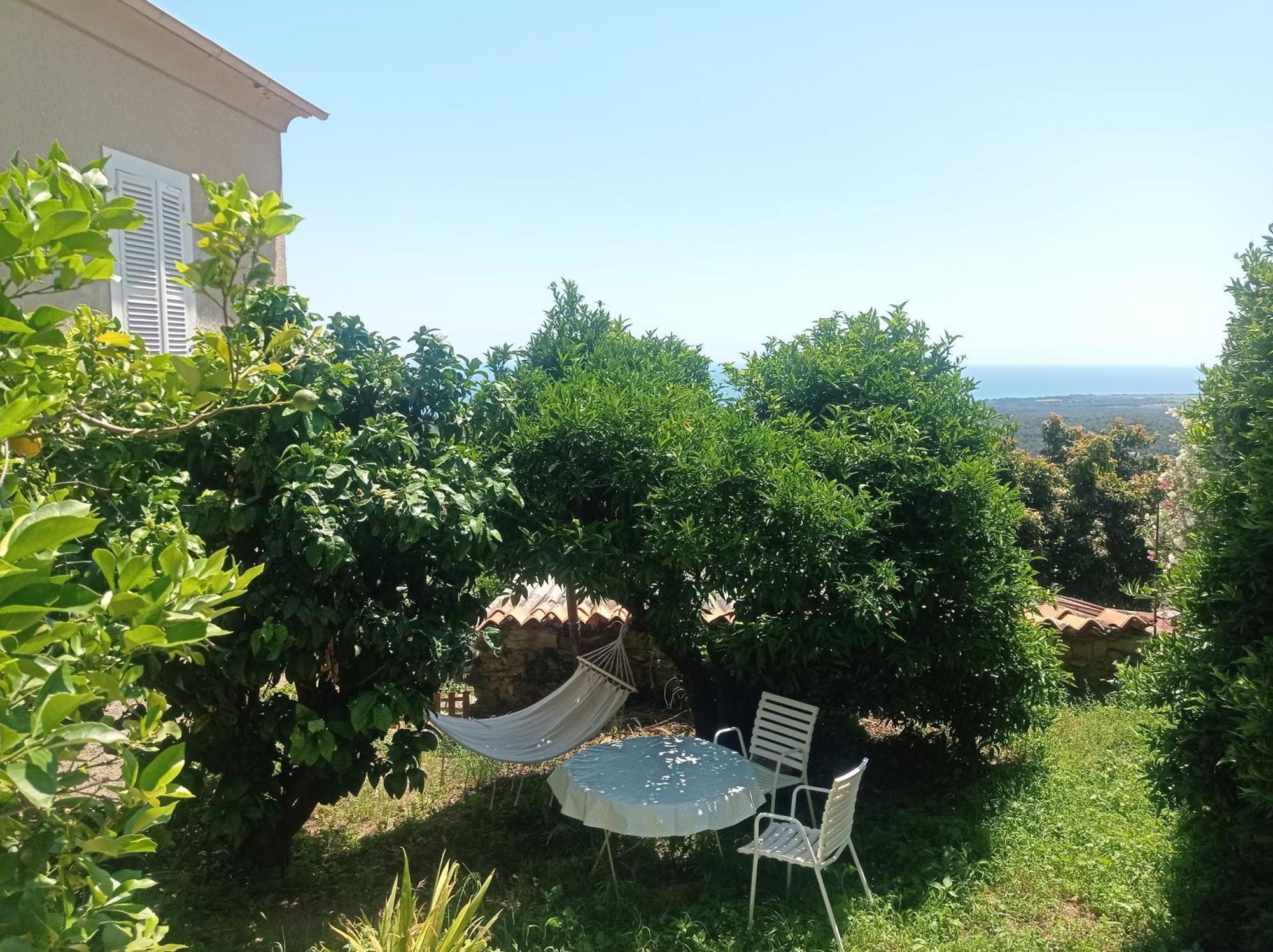 Appartement A Caserella entièrement rénové avec terrasse et vue panoramique sur mer Valle-di-Campoloro Extérieur photo